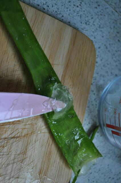 Das Gel vorsichtig vom Blatt abnehmen. | Foto: Daniela Somers