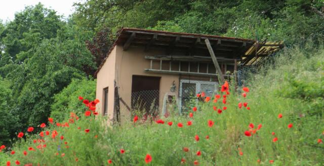und Naturgarten dazu.