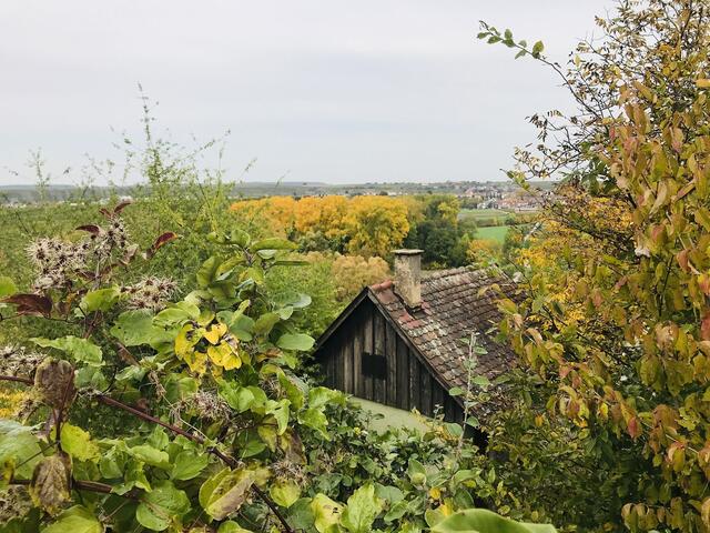 Schutzhütte über dem Lauffener Seeloch