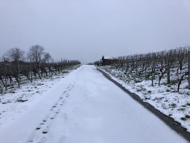 Wengerthäusle im Schnee