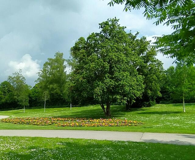 Das Blumenbeet besteht aus lauter kleinen Ecken in unterschiedlichen Formen - den Kristallen des Salzes nachempfunden.....
