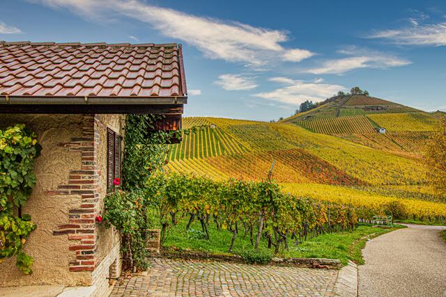 Herbst am Scheuerberg