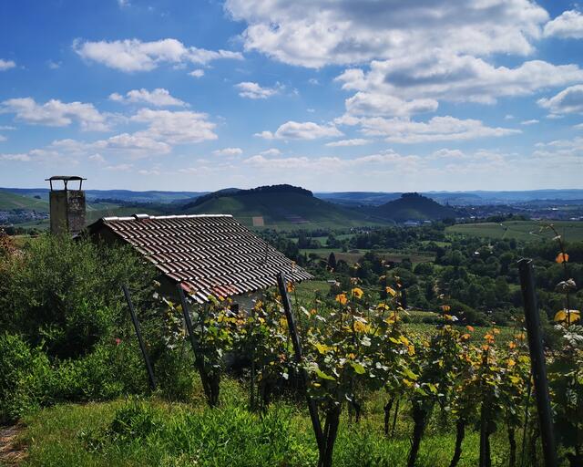 Herrlicher Blick übers Weinsberger Tal (Wartberg)
