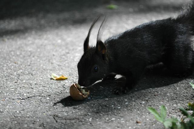 Wie die duftet! | Foto: Daniela Somers