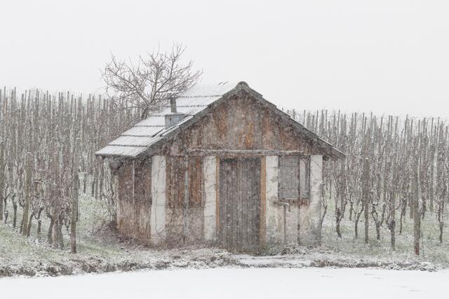 Weinberghäuschen im Schneesturm