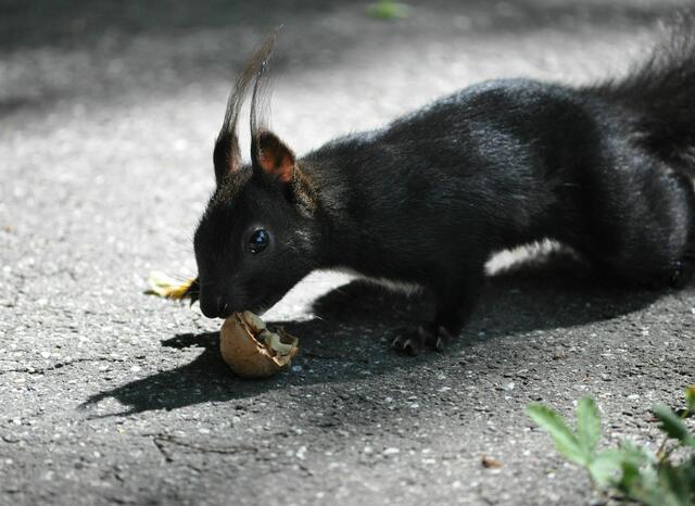 Gell, du bleibst aber ruhig stehen! | Foto: Daniela Somers