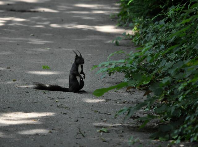 Hast du für mich auch eine Nuss? | Foto: Daniela Somers