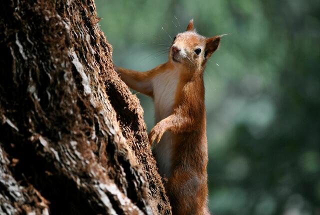 Und für mich? Hast du da auch noch was? | Foto: Daniela Somers