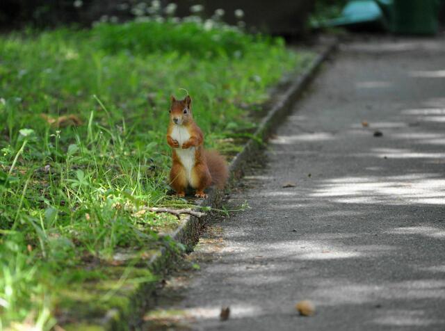 Ist die für mich? | Foto: Daniela Somers