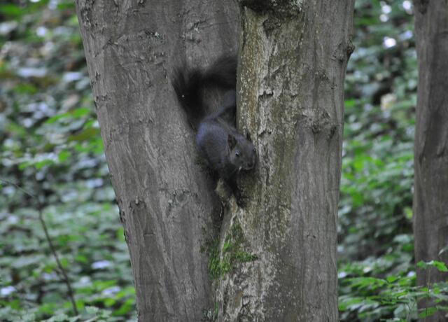 Vielleicht doch runter und schauen ob noch was da ist. | Foto: Daniela Somers