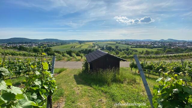 Gut behüttet in Ellhofen
