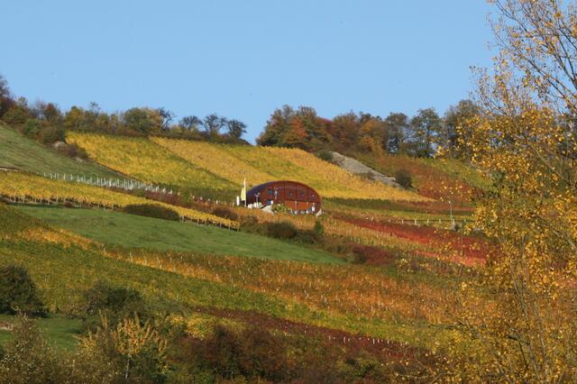 Weinfass als Weinberghäuschen in Ingelfingen