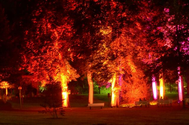 Lichtzauber im Park