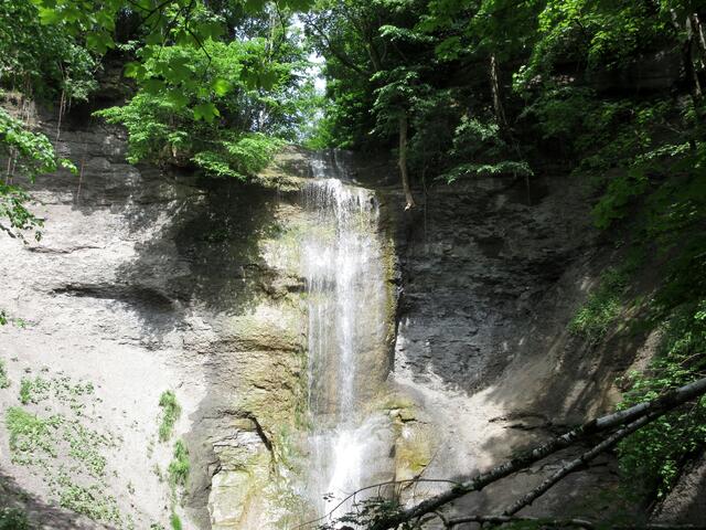 Zu dem Wasserfall Zillhausen sind wir dann mit dem Auto noch hin. Da gibt es einen schönen Weg, der das NSG Roschbach noch streift. Das könnte man in Kürze nochmal wagen....