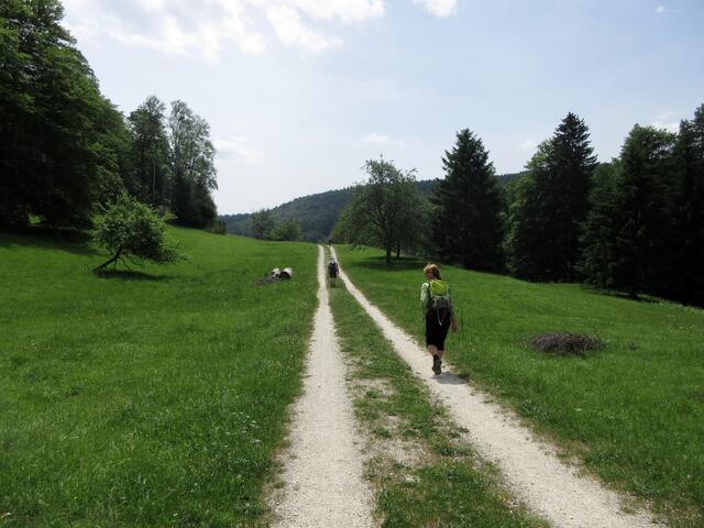 Abstand wahren ist auf der Alb kein Problem und wenn es auch nur 11 km waren, die Hitze wurde später unerträglich. Wir waren früh los, aber die vielen Pflanzen wollten gewürdigt werden und das dauert. Um 13:00 Uhr dann das letzte Stück zurück zum Parkplatz