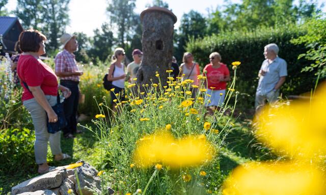 Der hohle Stamm ist schön anzuschauen und bietet Unterschlupf.... | Foto: Mario Berger