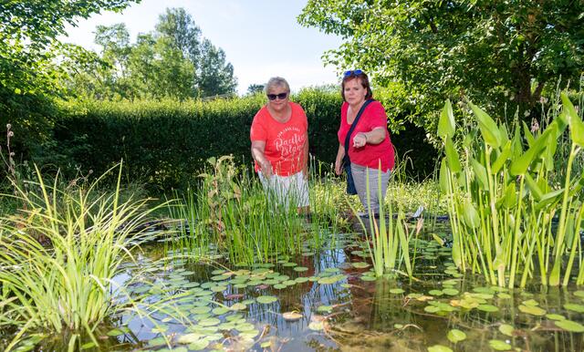 Anette Kühner und Carmen Bauer (r.) bestaunen das Sumpfbeet. | Foto: Mario Berger