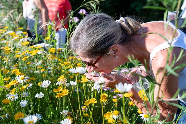 Ute Ottmann erlebt die Wiese mit allen Sinnen. | Foto: Mario Berger