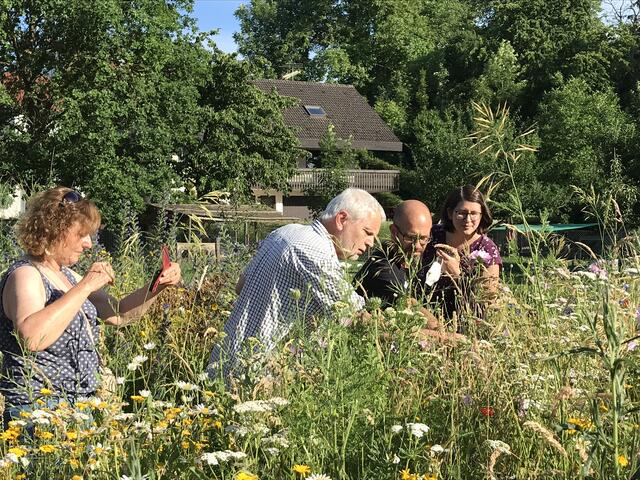 Wiesenblumenbaden... | Foto: Katja Bernecker