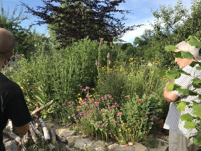 Blick auf eines der Trockenbeete. | Foto: Katja Bernecker