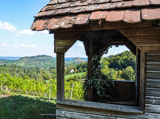 Mit Blick: Die Weibertreu ist durch die Pergola hindurch zu entdecken. | Foto: Uschi Pohl