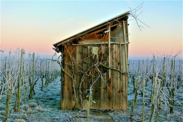 Gewinnerfoto: Kahl und dennoch beeindruckend. Auch im Winter kann eine einsame Weinberghütte ein attraktives Fotomotiv bilden. | Foto: Konrad Schomerus