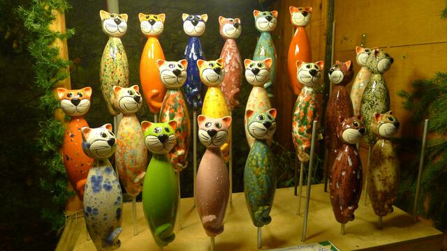 bunter Katzenchor
