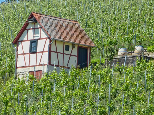 Symmetrisch: Das Häuschen ist bei Verrenberg zu finden. | Foto: Wolfgang Link