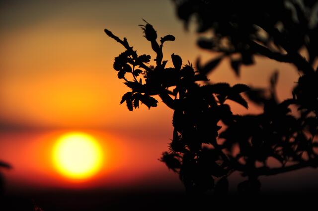 Sonnenuntergang I