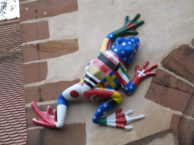 Der Flaggenfrosch
