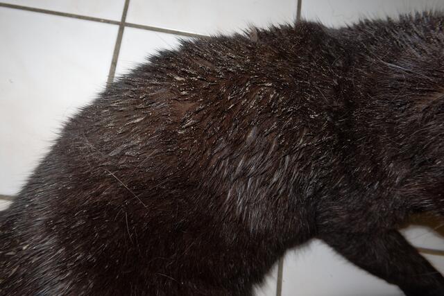 rundum sandig / sandy all around