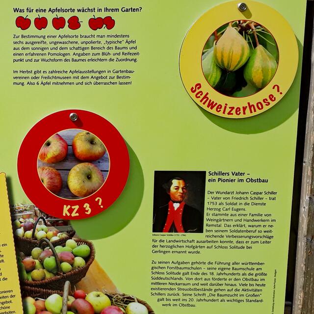 Infotafel Sortengarten Bönnigheim