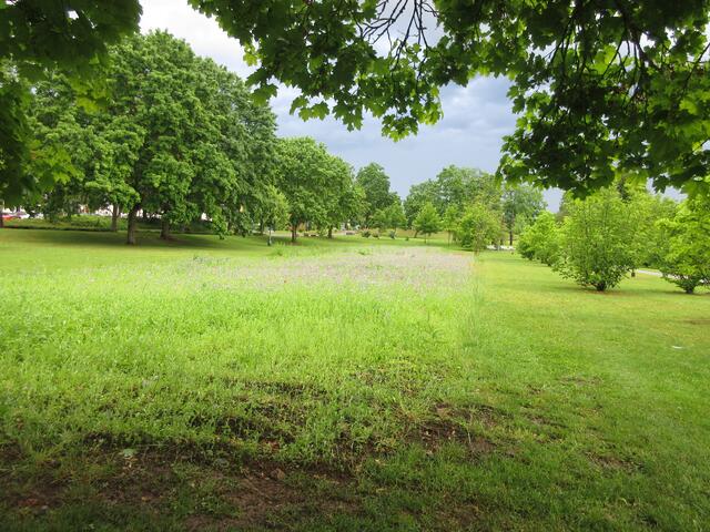 Oben noch dunkle Wolken über dem Salinengarten
