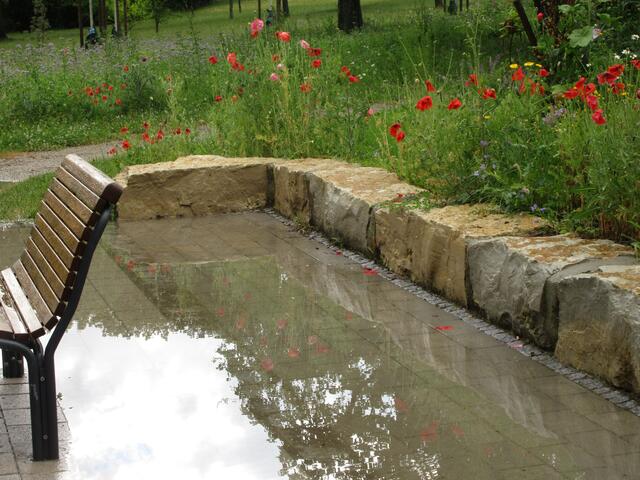 Doch die Wetterlage ergab schöne Spiegelungen, wo sonst eigentlich kein See ist.