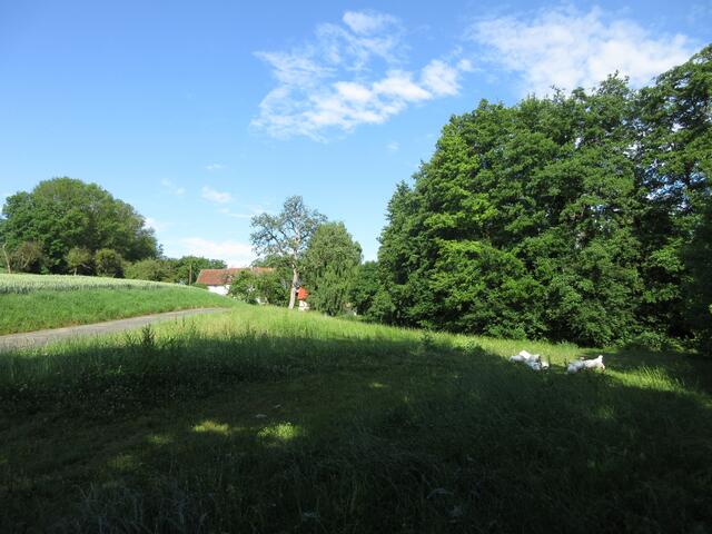 Blick zum Geißbuckel