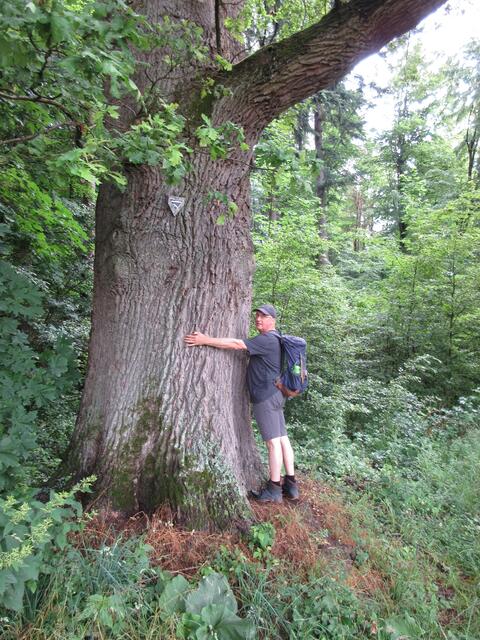 Kurz vor dem Parkplatz dann noch Waldbaden mit Naturdenkmal-Umarmung.
