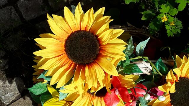 eine Sonnenblume aus Plastik, Eppingen