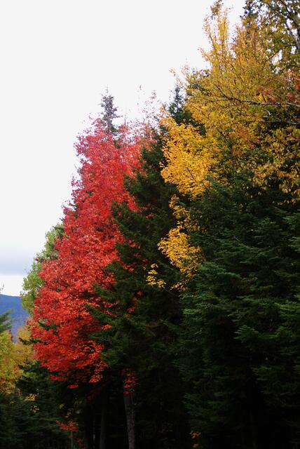 Herbstfarben