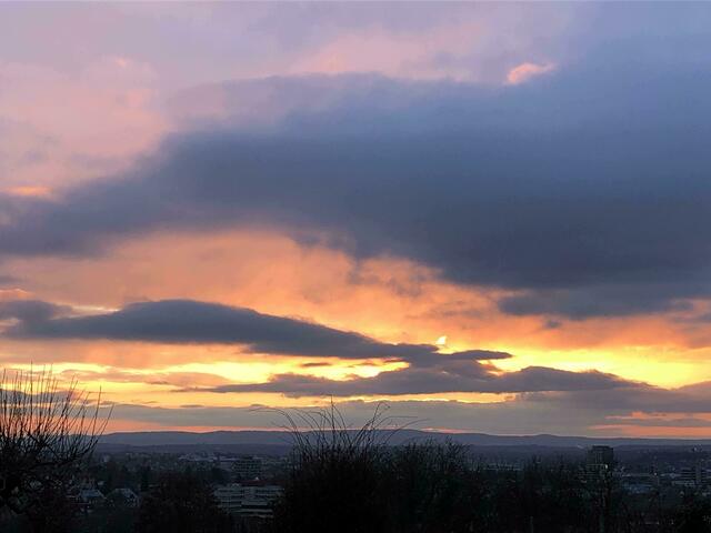 www - Wilde Wolken Welten