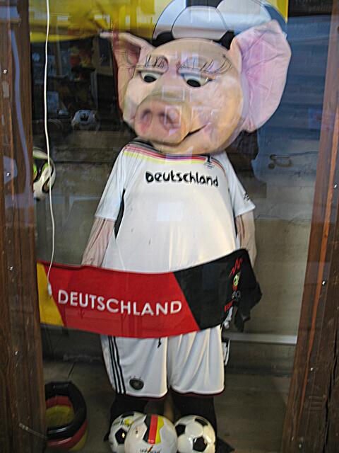 Im Schweinemuseum. Leider hinter Glas.