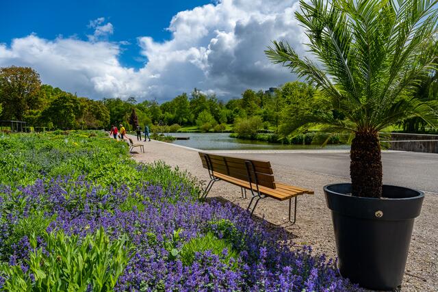 Sommer, Urlaub, Eis! Die Bank im Kurpark von Bad Rappenau lädt zum Verweilen und Träumen ein. | Foto: Jörg Pollmann