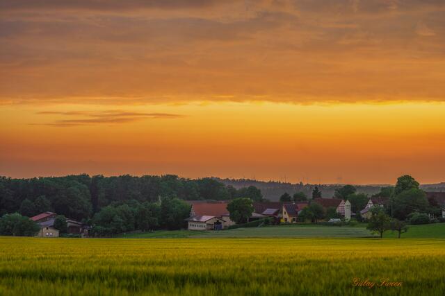 Sonnenuntergang am Halberg