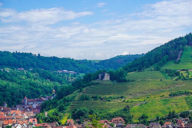 Blick von Lipfersberg auf Ingelfingen