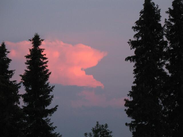 gegen Abend, Schwaigern