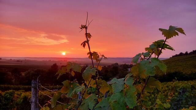 Sonnenuntergang über dem Zabergäu...oder doch Toscana...