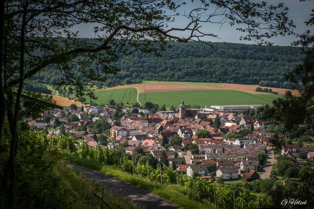 Eberstadtblick vom WT9 Wanderweg aus.
