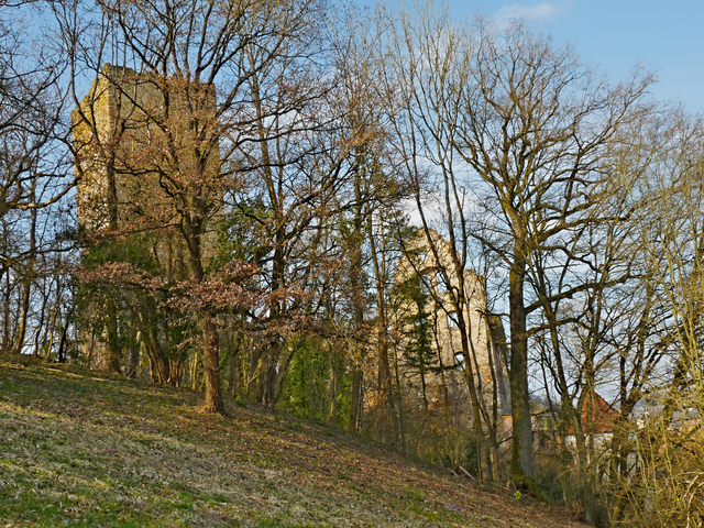 Ruine Ehrenberg