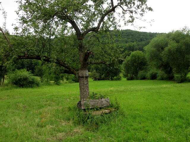 Beitrag zu Rubrik "Lost Places". Wunderbar, dass diese alte Bank wenigstens noch derart erhalten ist.
