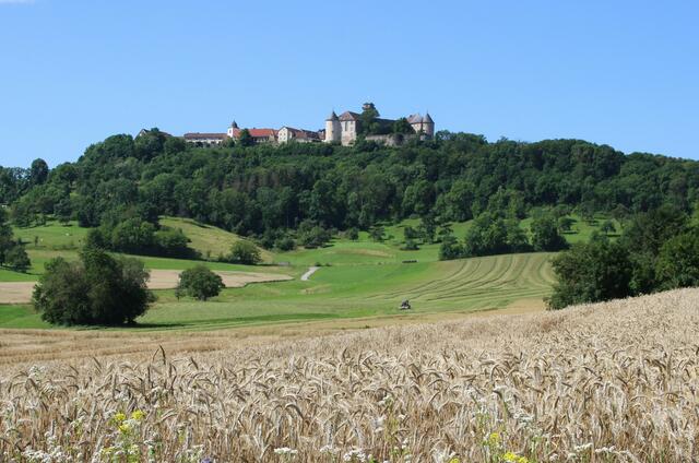 Blick zum Schloß auf dem Weg zur Obermühle