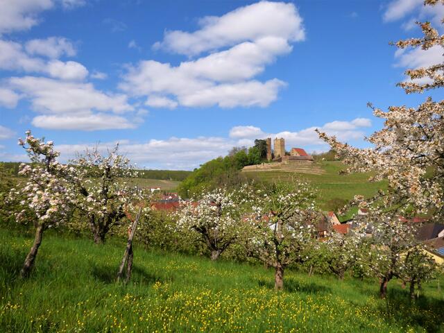 Burg Neipperg - ein Ausflug in den wunderschön gelegenen Weinort Neipperg lohnt sich immer
